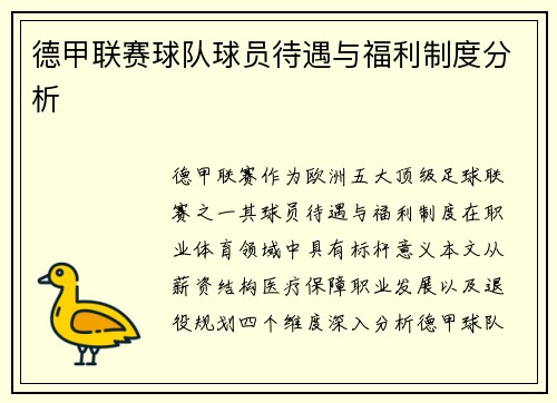 德甲联赛球队球员待遇与福利制度分析